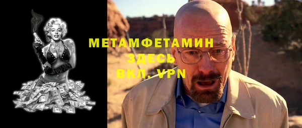 прущие грибы Каменка