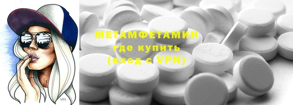 прущие грибы Каменка