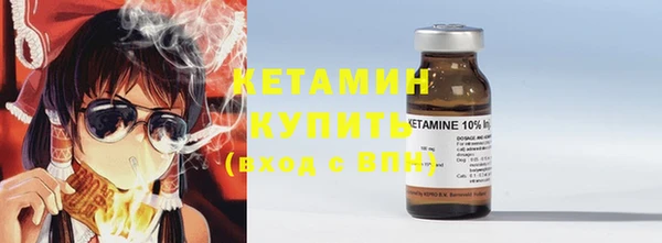 прущие грибы Каменка