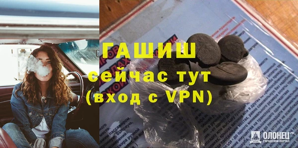 прущие грибы Каменка