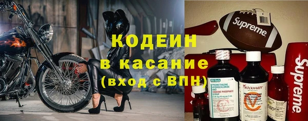 прущие грибы Каменка