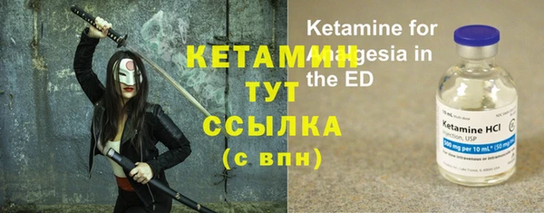 прущие грибы Каменка