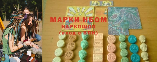 прущие грибы Каменка