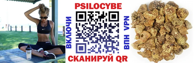 mega ссылка  продажа наркотиков  Цивильск  Псилоцибиновые грибы мицелий 